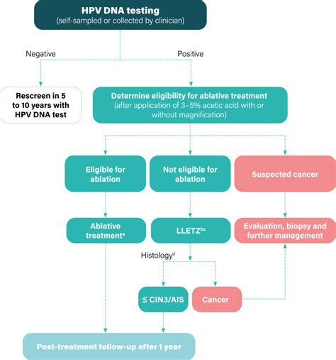 two tear testing for hpv|Updated cervical cancer screening guidelines .